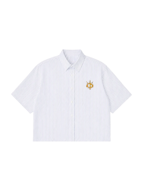 Blue Striped boxy vacation shirt