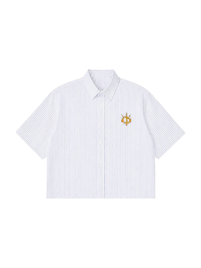 Blue Striped boxy vacation shirt