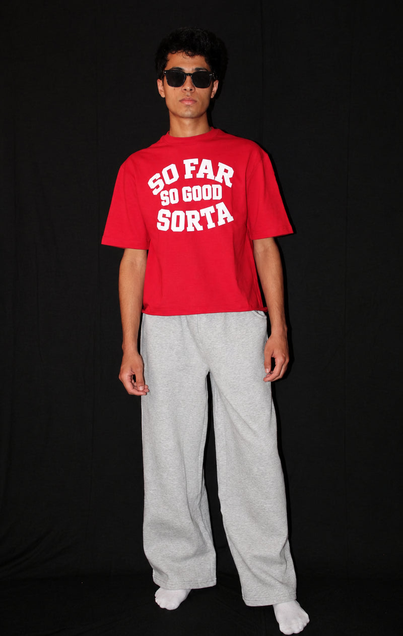 Light Grey Baggy Sweat Pants-2 alternate